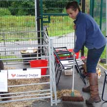 Fishers Mobile Farm @ Irk Valley Primary School, Manchester